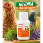 Ekosip Drink 100ml