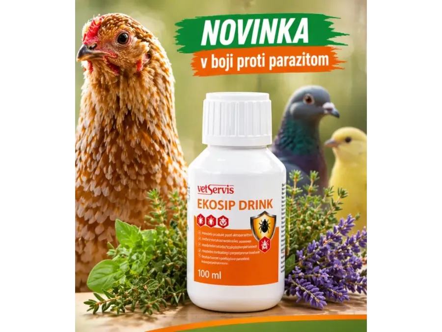 Ekosip Drink 100ml