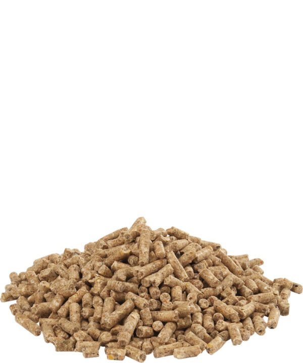 5410340510186food.jpg Versele Laga Brojler Rast 20 kg – granule