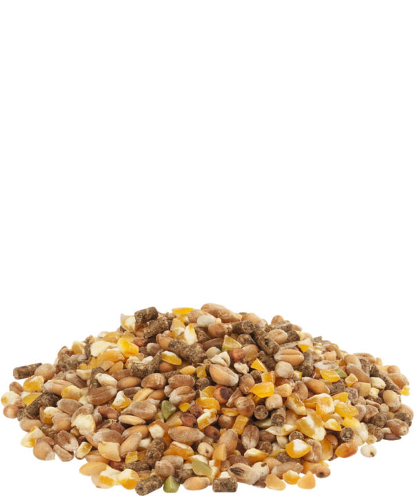 5410340512067food.jpg Versele Laga Kura Štart 20 kg – sypká zmes