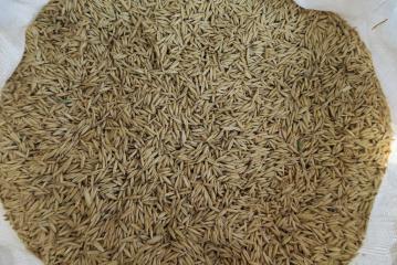 Ovos 35 kg kŕmna surovina