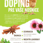 Infografika Bonamix Imunomix – echinacea, škorica, oregano a nechtík pre nosnice