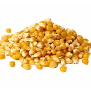 Kukurica 25 kg