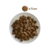 stiahnut-11_vysledok.webp Prince Hypoallergenic Lamb 12 kg – granule pre psy