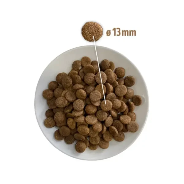 stiahnut-11_vysledok.webp Prince Hypoallergenic Lamb 12 kg – granule pre psy